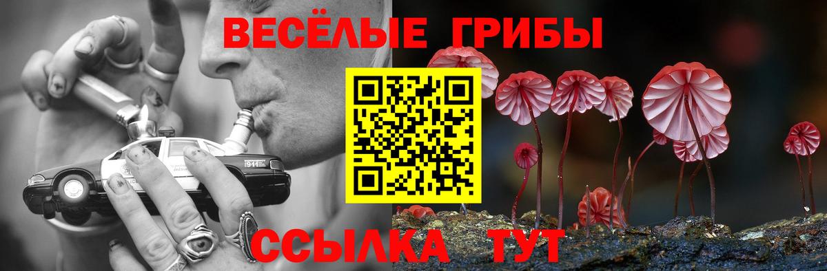 Псилоцибиновые грибы прущие грибы  Вход с VPN  Якутск 